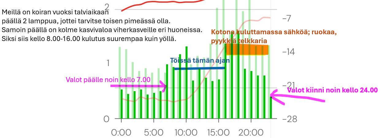 sähkökäppyrä.JPG