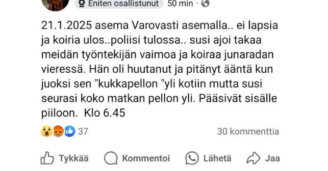 Näyttökuva 2025-02-19 195947.png