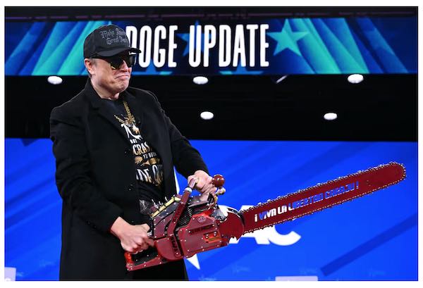 Musk_saha.jpg