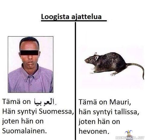 mauri.jpg