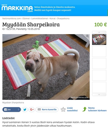 Öhmanin koira myynnissä viisi päivää ennen puukotusta.jpg
