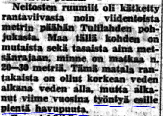 Havupuut_2208_PS.JPG