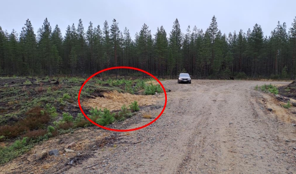 Hautapaikka.jpg