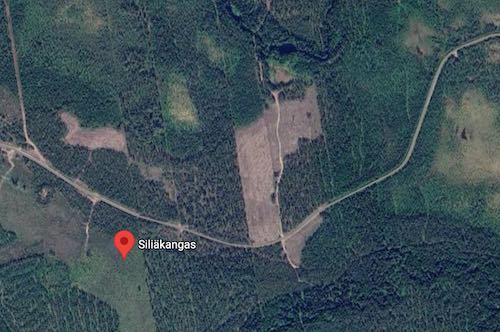 Skangas.jpg