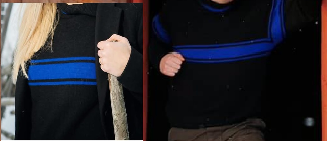 Lapuan liikkeen fanitus Suomen poliisissa.jpg
