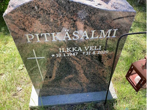 Ilkka Veli Pitkäsalmi.jpg