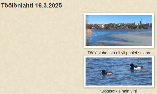 Töölönlahti 16-03-2025.jpg