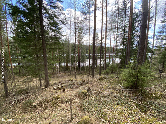 Kolonlampi 25.4.2025.jpg