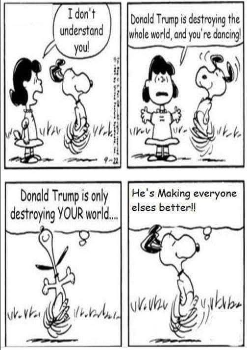 Trump it.jpeg
