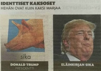 Trumppeli_vs_possu.jpg