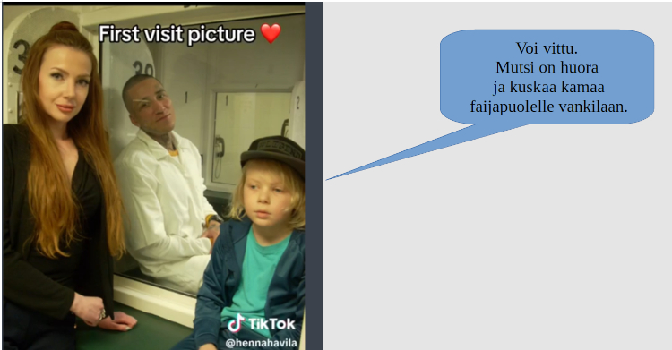 voi vee mutsi minkä teit.jpeg