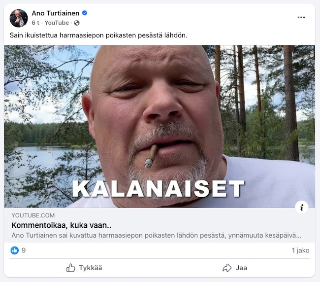 VKK_Ano_sikari_nannaa_kurkulle.jpg