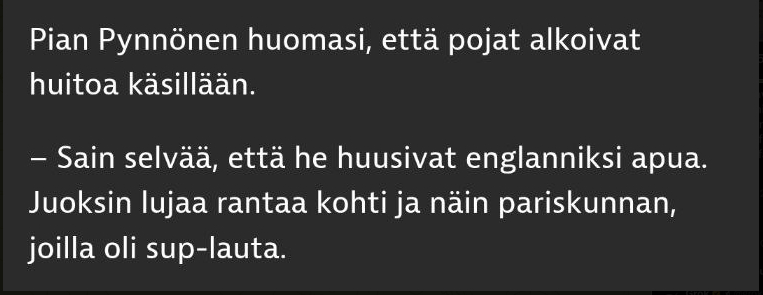 pynnönen.jpeg