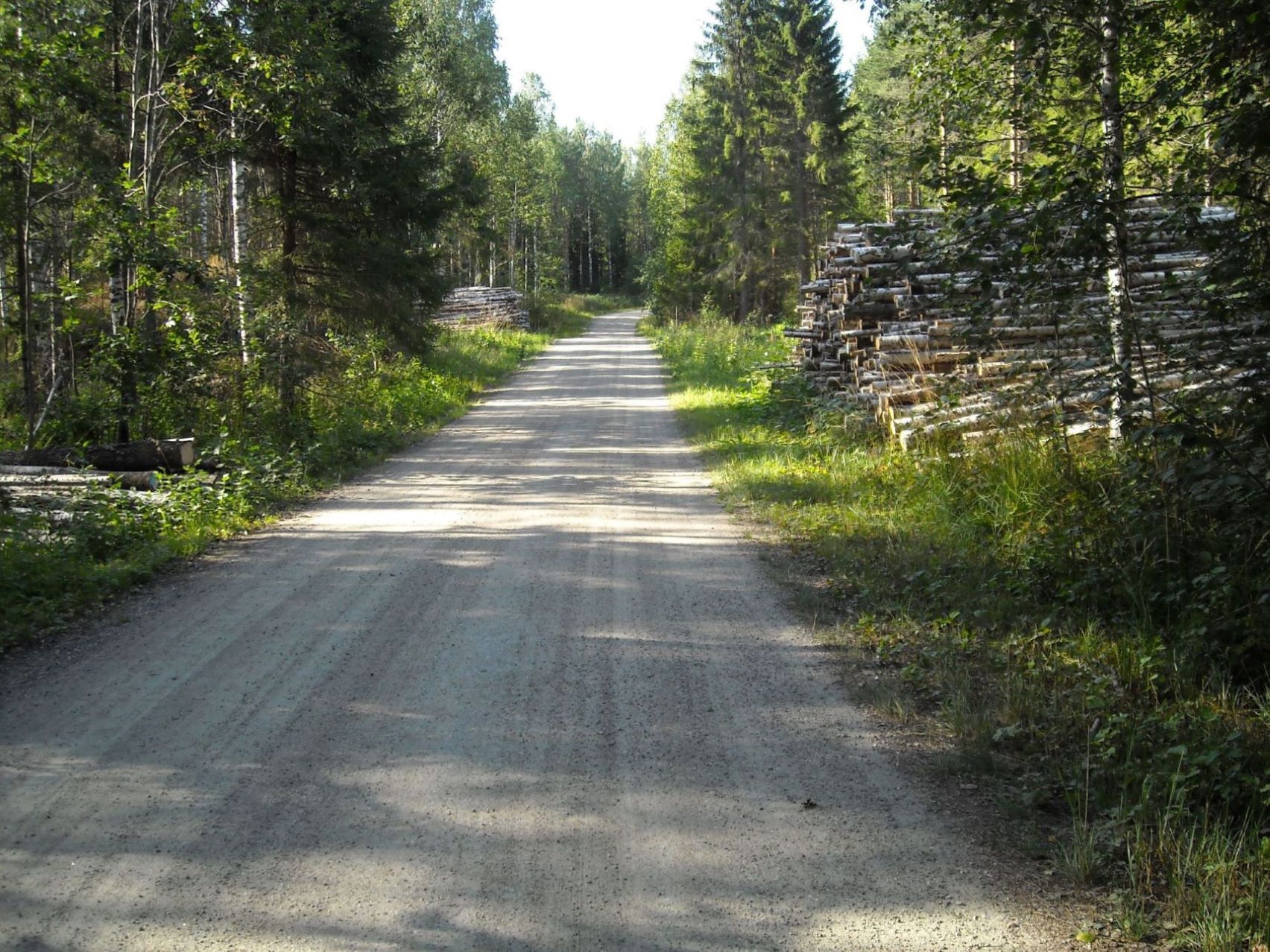 DSCN0683.JPG