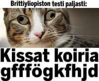 tutkimus paljasti.jpg