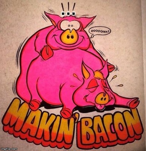 Makin´ Bacon ~ Valmistetaan Pekonia.jpg
