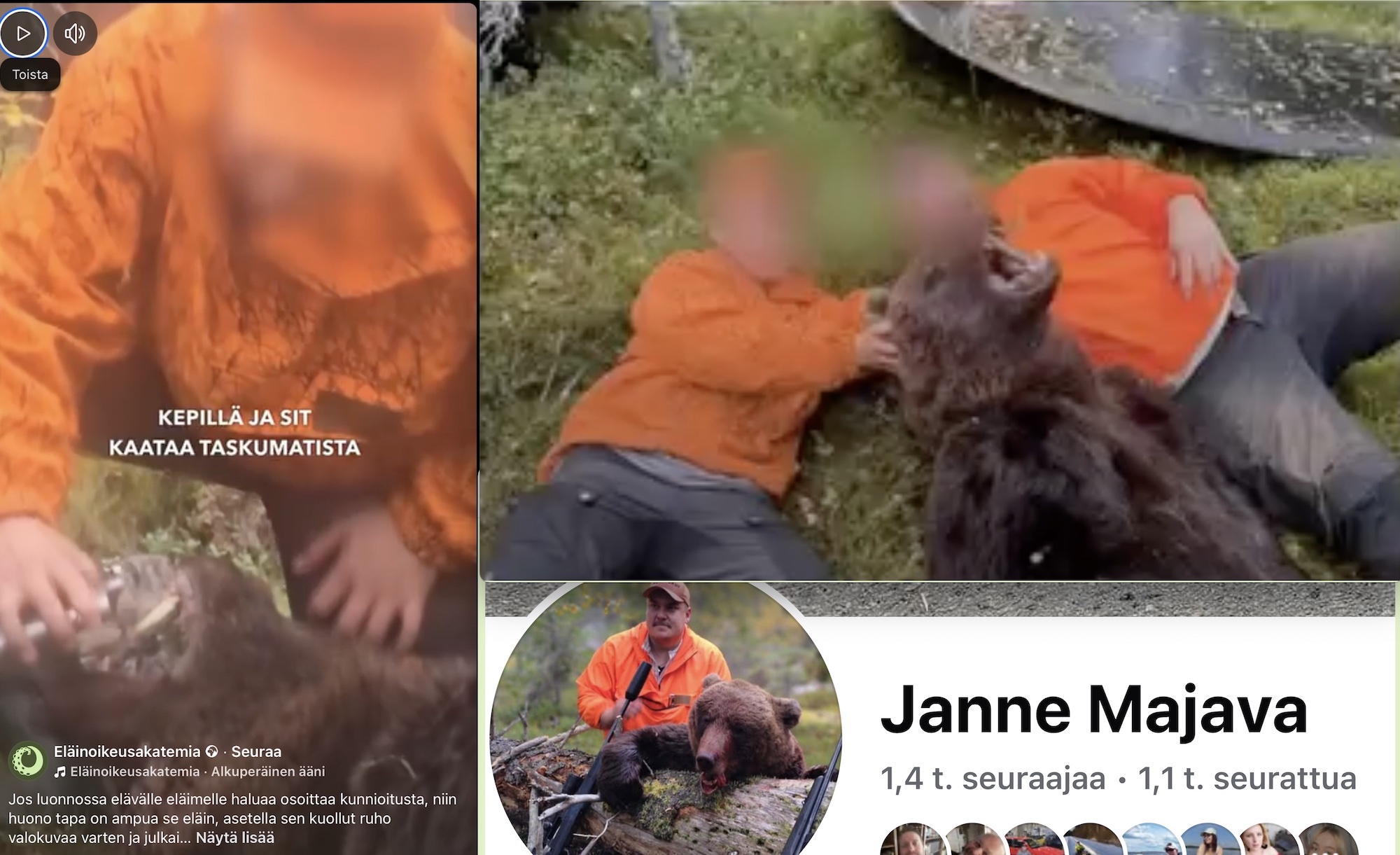 VIINA JANNE.jpg