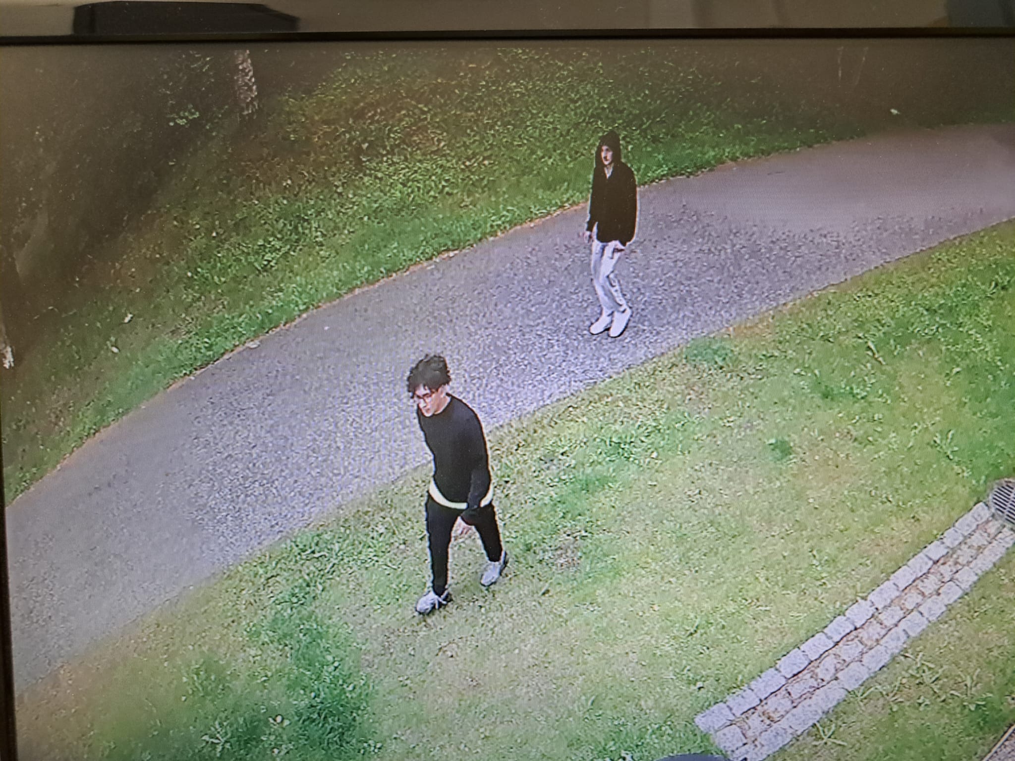 Kuva kahdesta nuoresta - tunnistusta pyydetään (1).jpeg