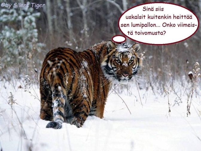 mikä onkaan viimeinen toivomuksesi..jpg