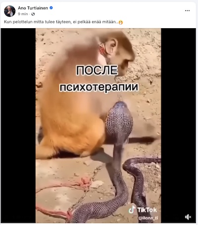VKK_Ano_pelottelu.jpg