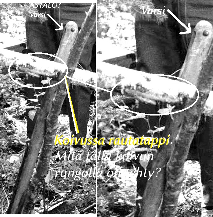 Rautatappi koivussa.jpg