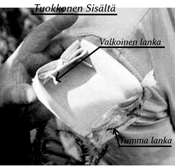 Tuokkonen sisältä.jpg
