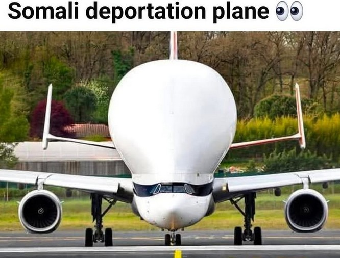 Somali Deportation Plane.jpg