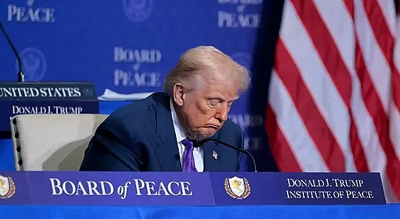 Bored of Peace.jpg