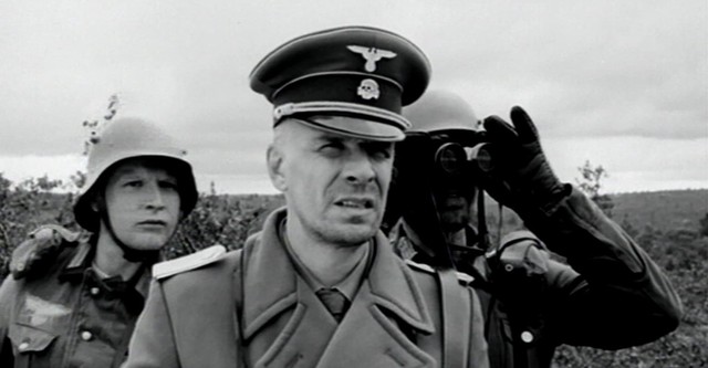 Peter North.jpg