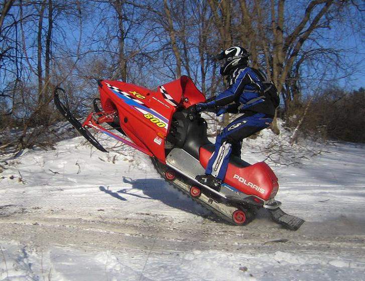wheelie.jpg