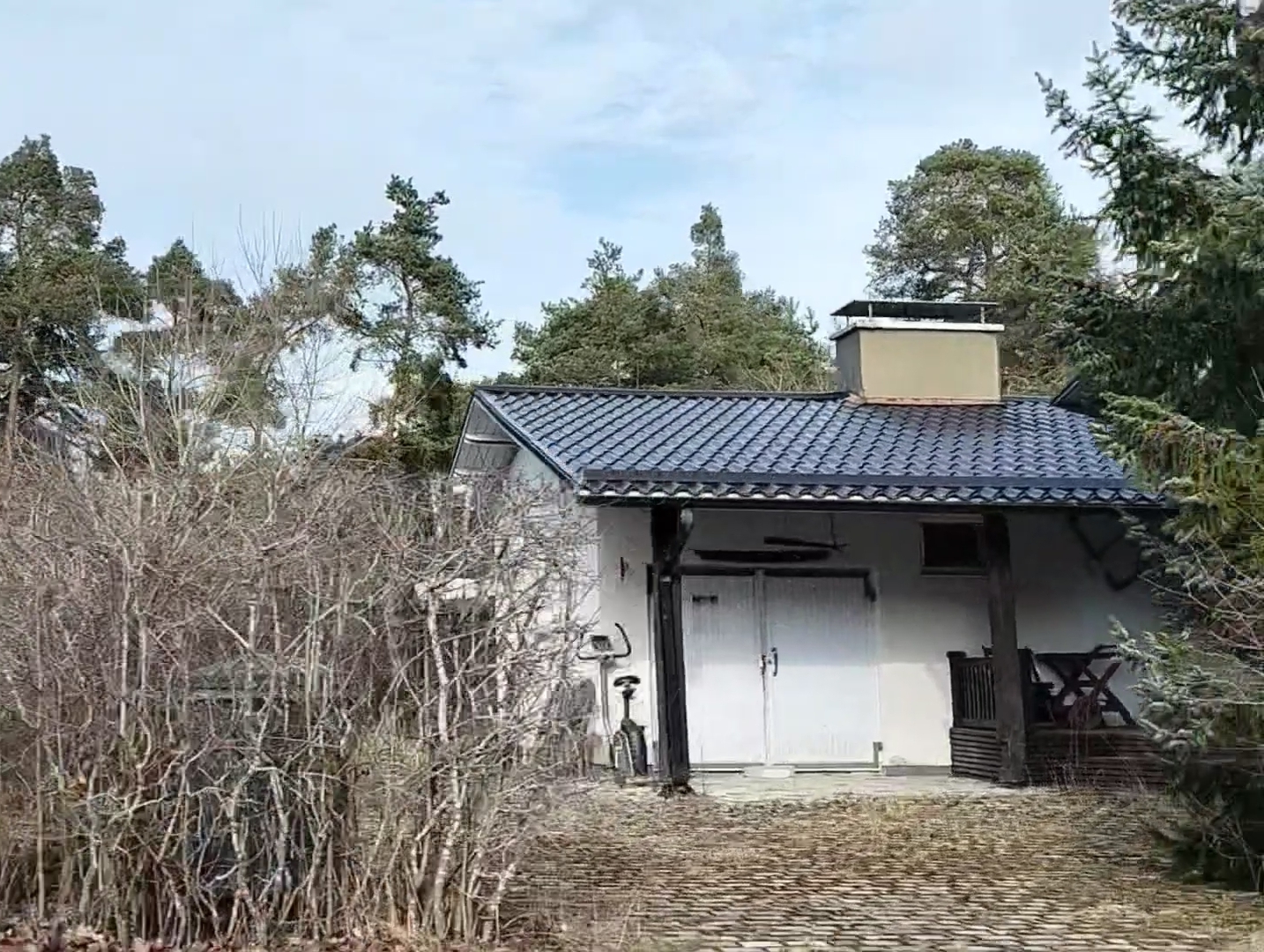 IMG_20260323_182718.jpg