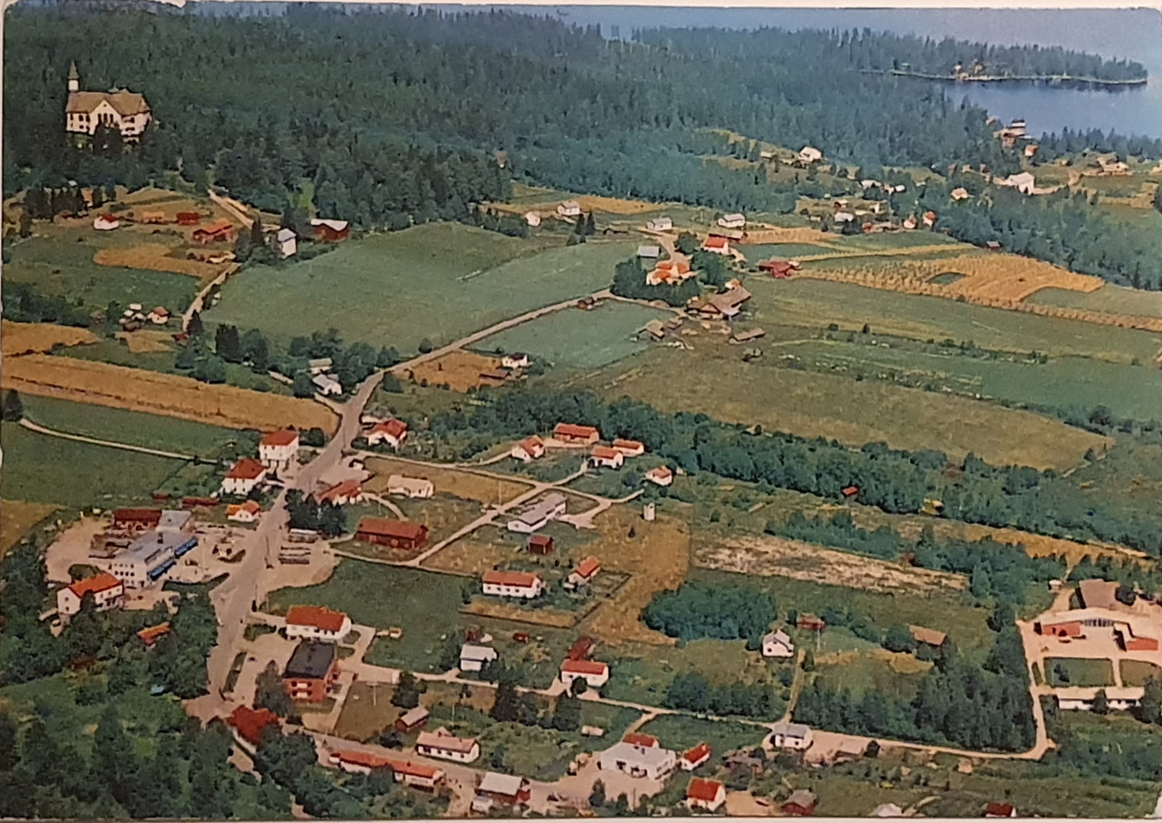20260415_040414.jpg