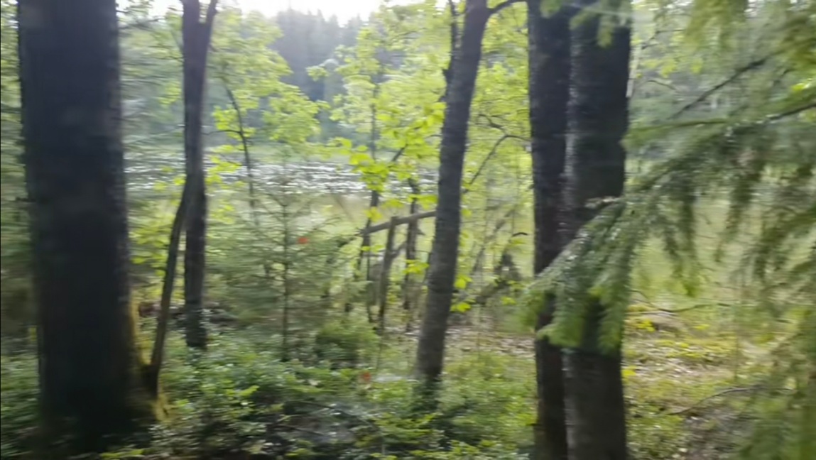 Screenshot_20260420_194508_TikTok.jpg