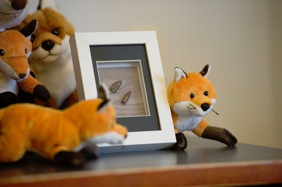Eero Hiltusen ampuma luoti lävisti Heidi Foxellin vatsan. Alkuperäinen luoti ja sen mallikappale ovat Foxellilla tallessa. JOONAS SALMELA