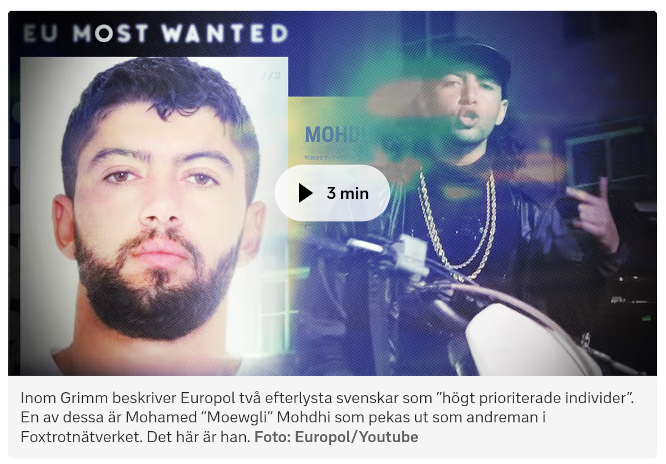 Mohamed ”Moewgli” Mohdhi .png