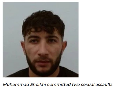 Muhammad Sheikhi.jpg