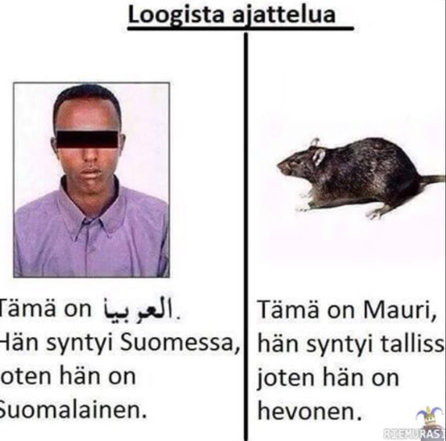 Loogista ajattelua.jpg