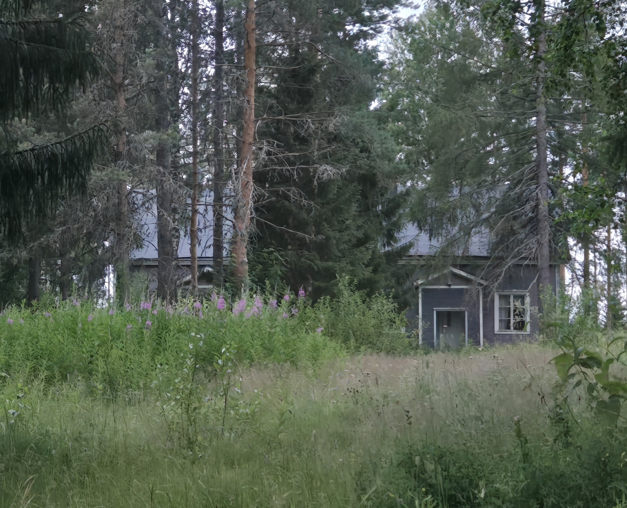 20260714_234349.jpg