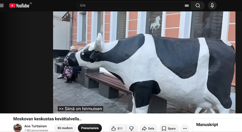 VKK_Minna_hirmusen_kokoinen_lehmä.jpg