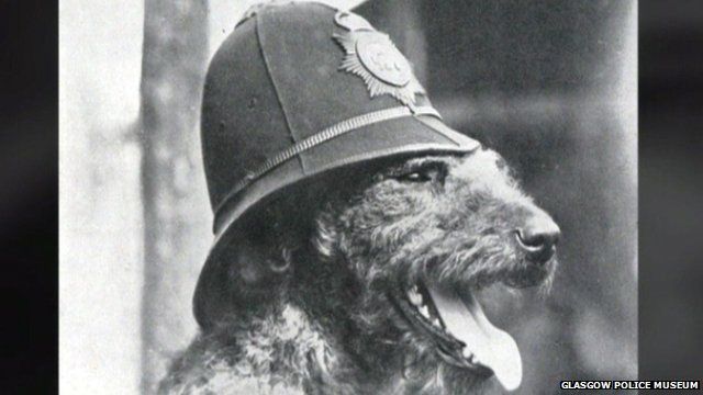 79974462_terrier_archive.jpg