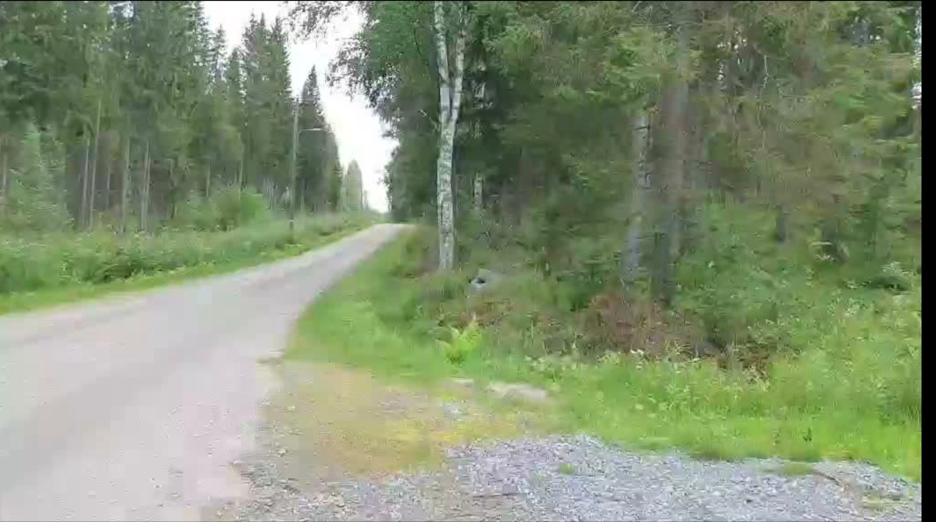 Tuliniementieltä Varkaudentielle