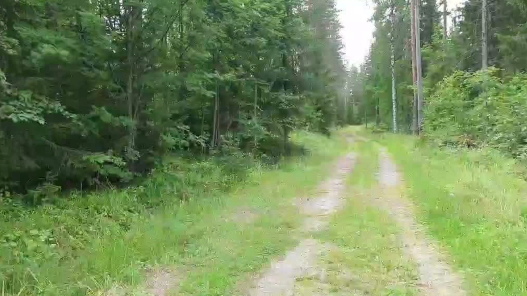 Multniementie Tuliniementien päädystä katsottuna