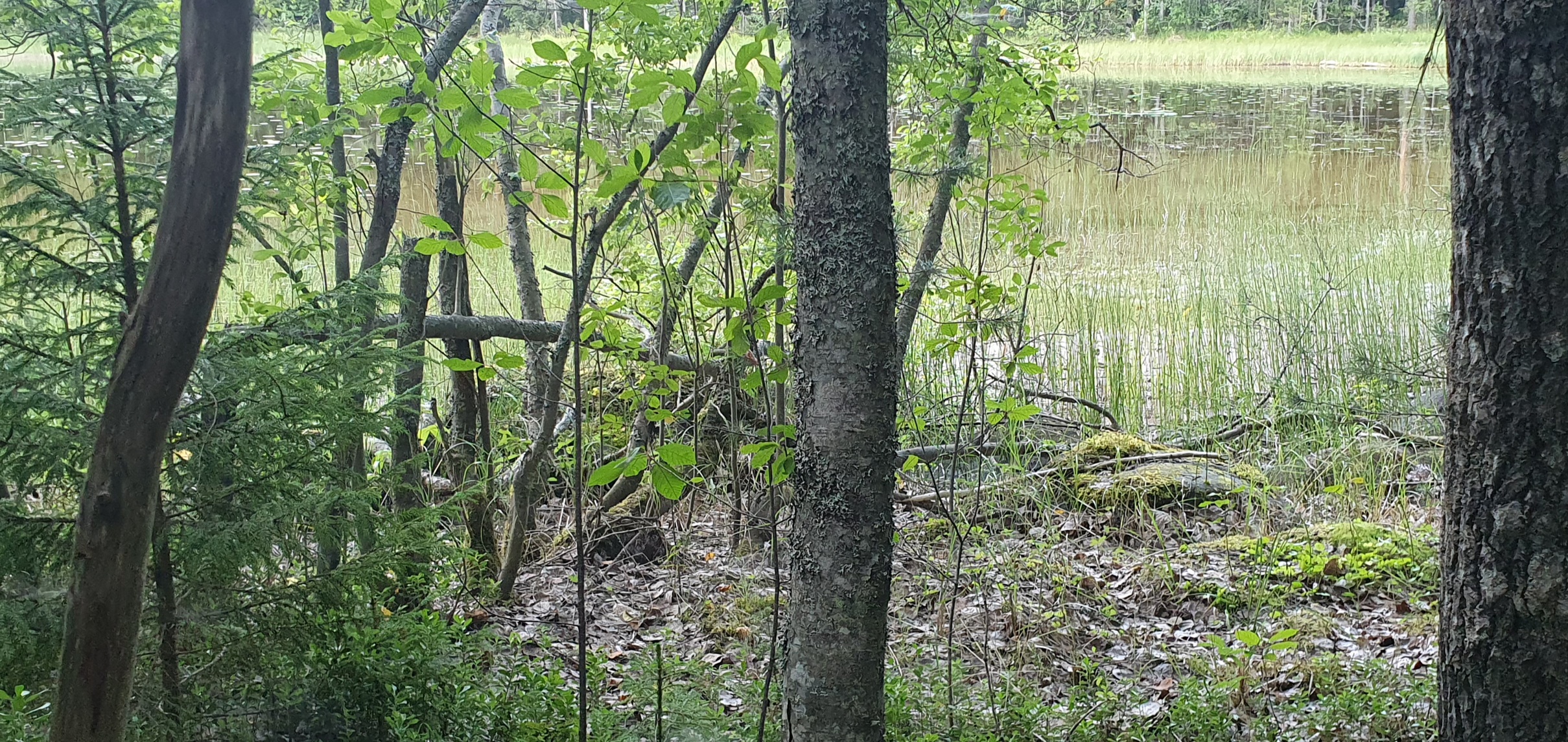 20260727_191647.jpg