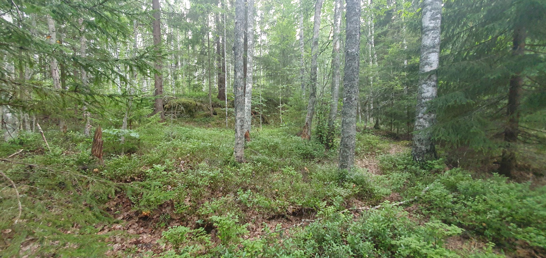 Kiviaitaa tai röykkiötä