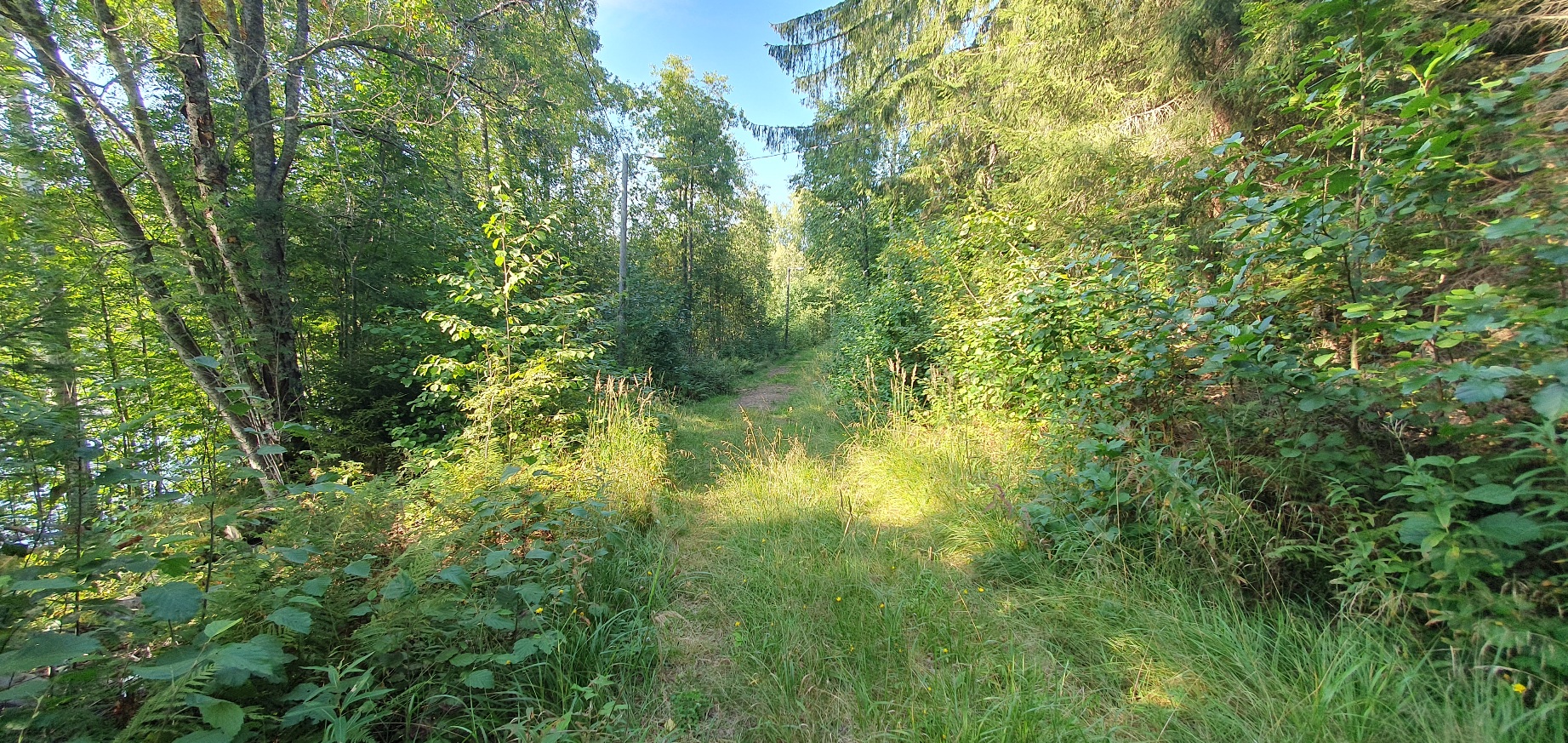 Liperiinpäin katsottaessa