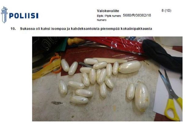 Sukasta löytyi kaksi isompaa ja 18 pienempää kokkelipötköä (2).jpg