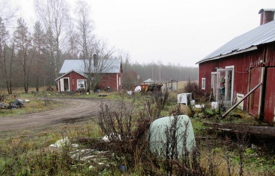 Seppänen_pihapiiriä.jpg