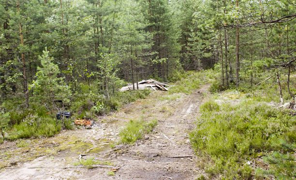 Tämän metsäaukean vierestä löytyi Tuula Lukkarisen ruumis. JANI HAKALA