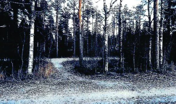 Kuva tapahtuma-alueelta. POLIISI