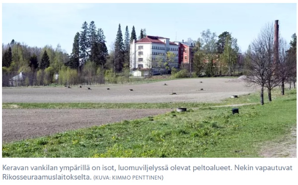 kerava 12.jpg